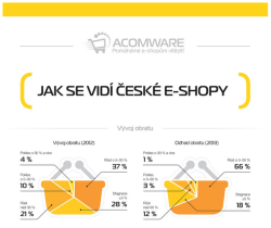 jak-se-vidi-eshopy-2013