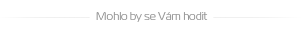 mohlobysehodit.png
