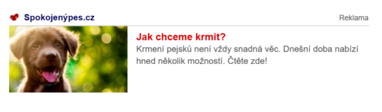 Jedna z variant, jak mohli uživatelé vidět kombinovanou reklamu webu.